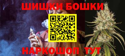 индика Владимир