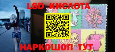индика Владимир