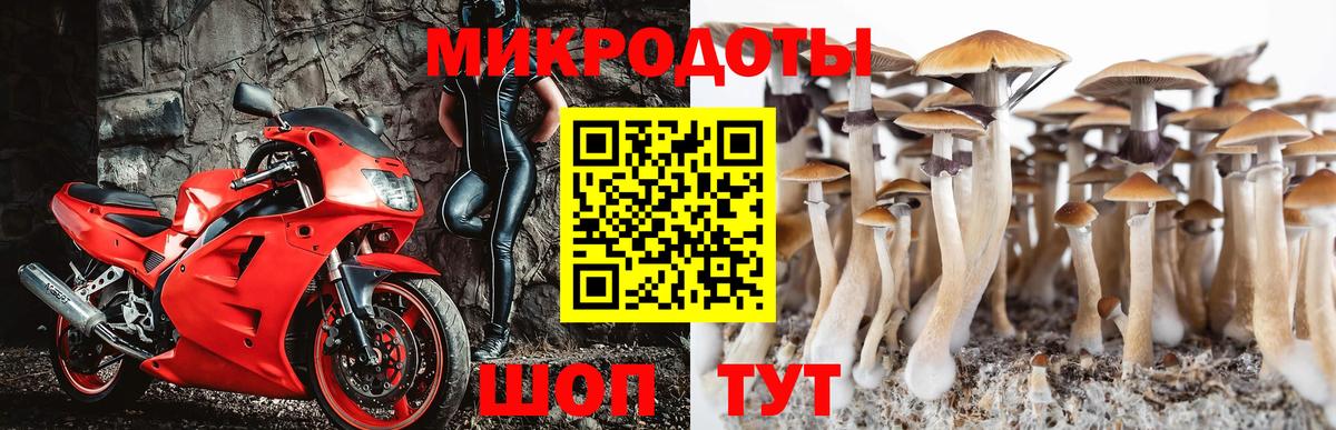 купить наркотик  Вход с VPN  Крымск  Галлюциногенные грибы Psilocybe 